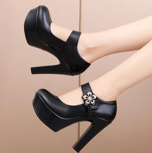 Platform Chunky Heel Pump Shoes HHS36