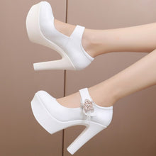 Load image into Gallery viewer, Platform Chunky Heel Pump Shoes HHS36